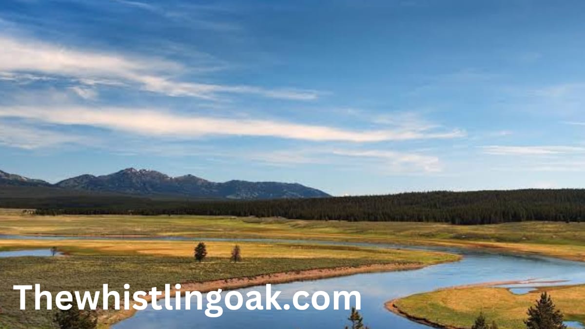 13 Legends in Yellowstone National Park to Explore