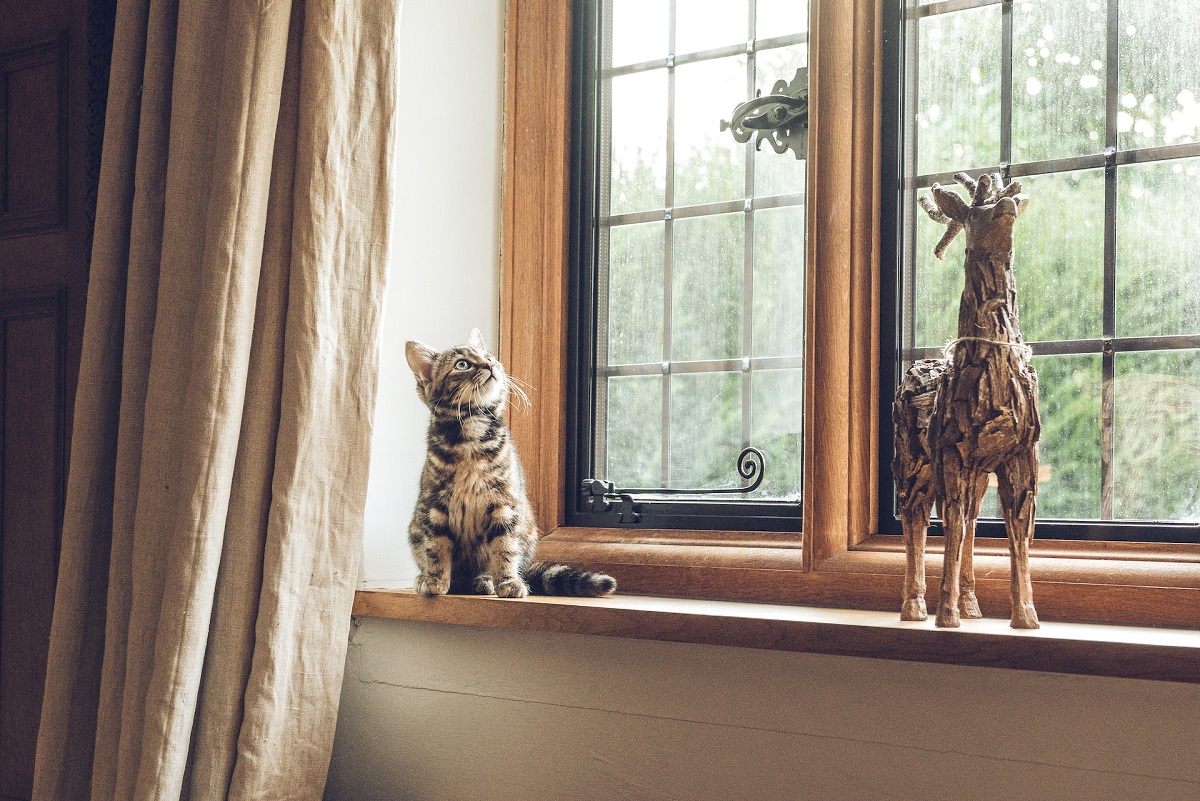 What Are The Best Curtains For My Guest Room?