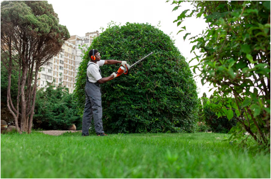 Essential Lawn Care Tips for Commercial Properties