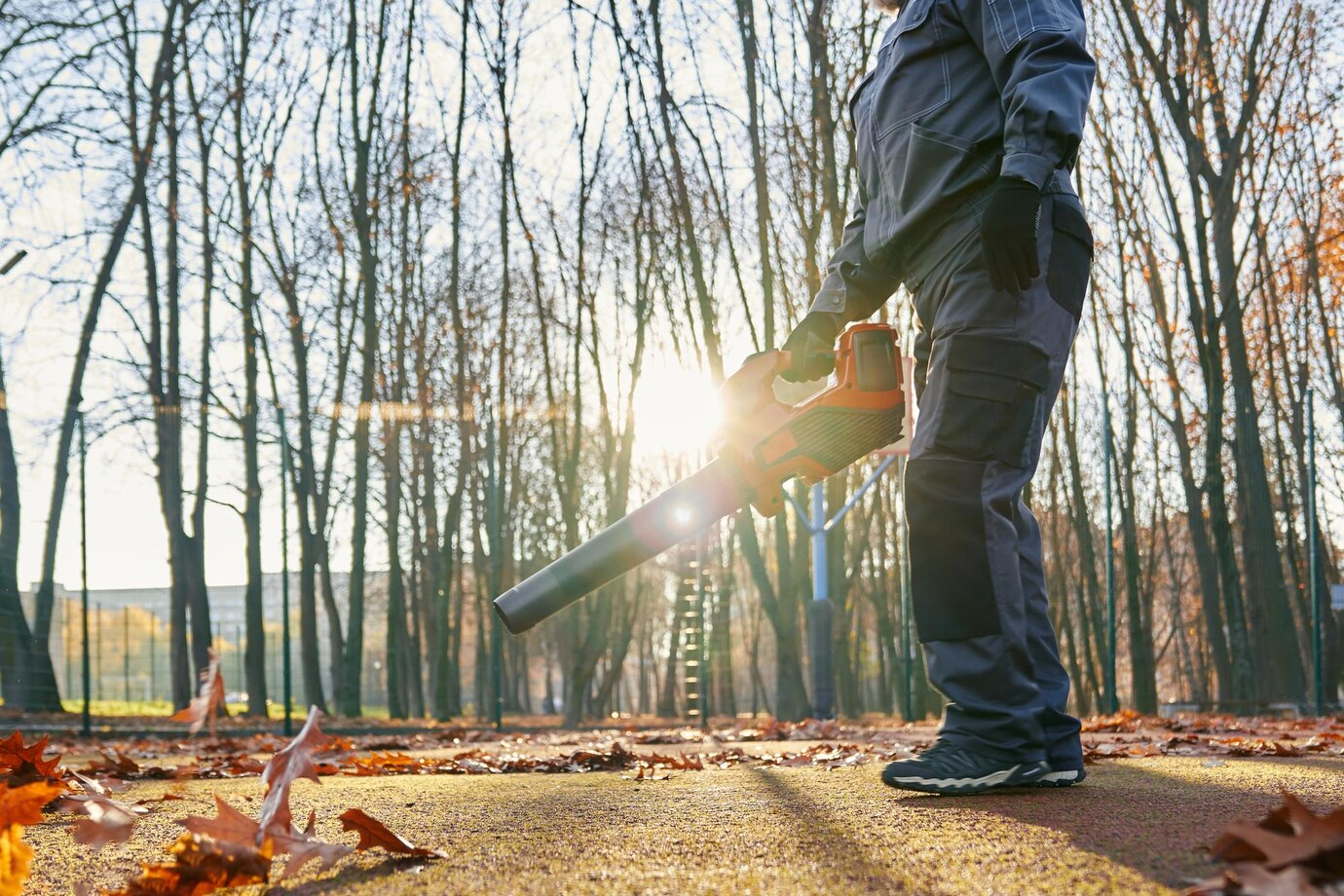 Safeguarding Your Property and Enhancing Beauty: Commercial Tree Maintenance and Removal