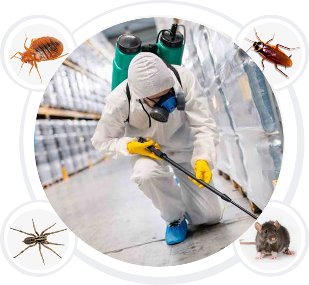 How Do You Select A Reliable Company For Pest Removal?