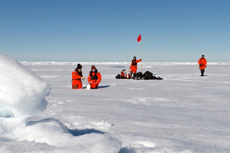 Escape to the Arctic: Why Finland Should Be Your Next Holiday Destination