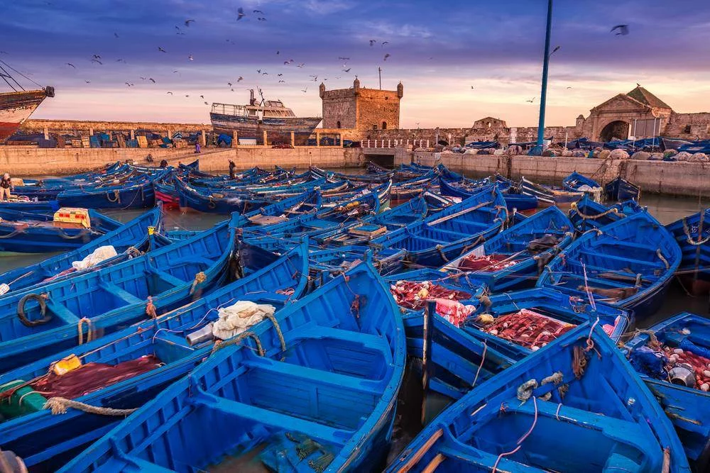 Unlock Morocco’s Wonders: Essential Tours for the Ultimate Journey