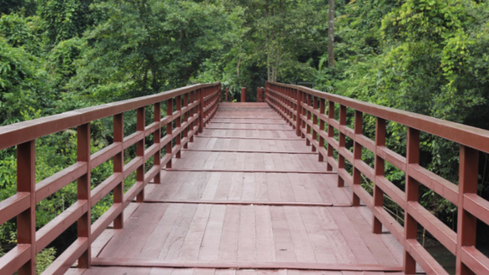 5 Eco-Friendly Advantages of Timber Bridge Building
