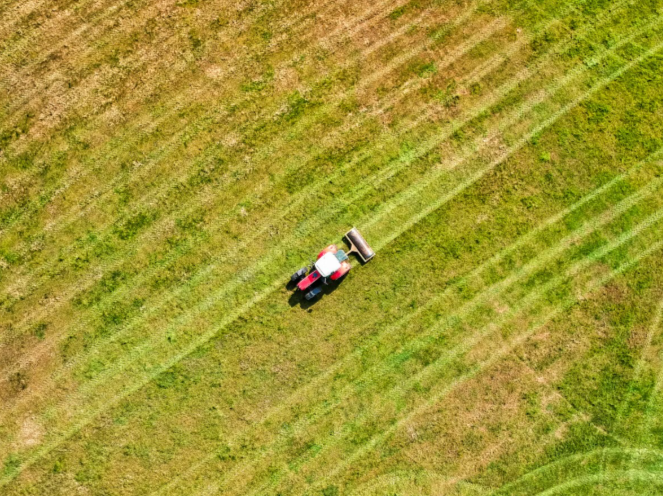 Maintaining Landscape On A Commercial Property: 5 Tips For Easy Work