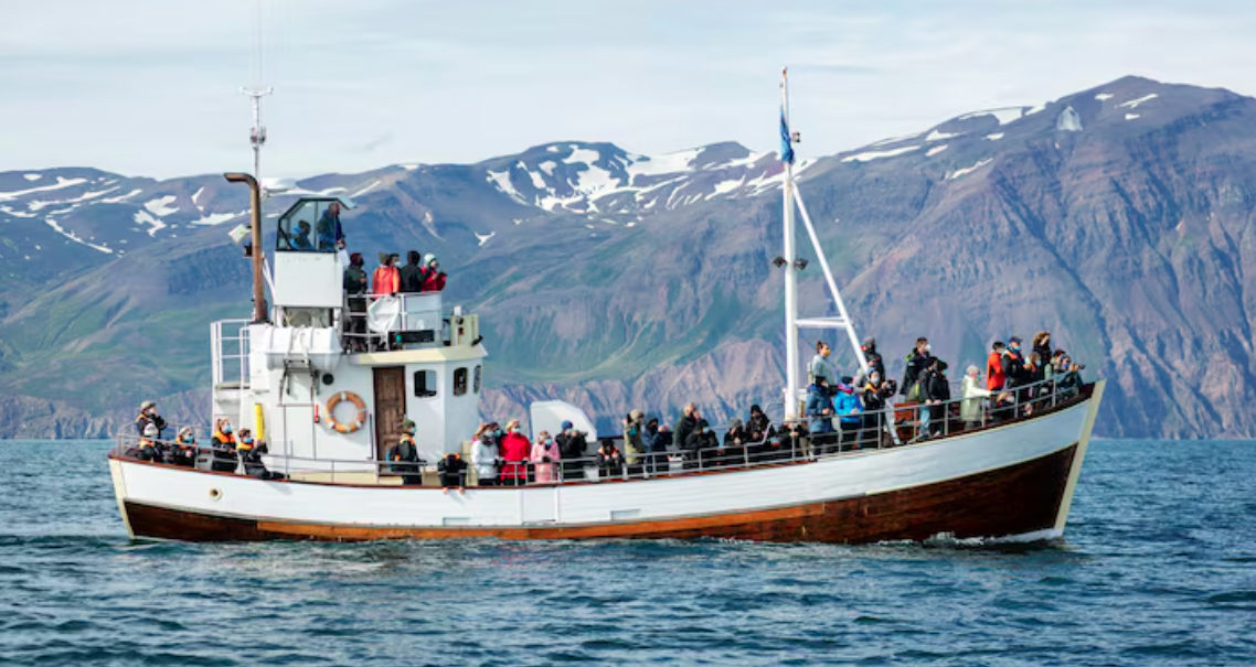 The Strategic Benefits of Choosing the Right Fishing Charters