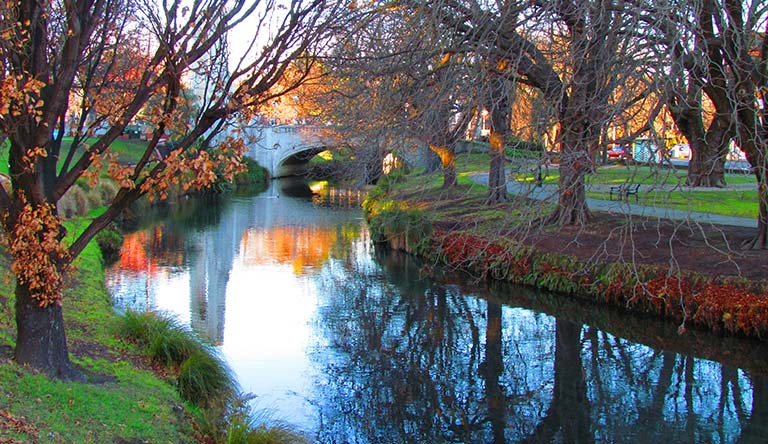 New Zealand Tour Packages from India: Complete Travel Guide by Flamingo Travels
